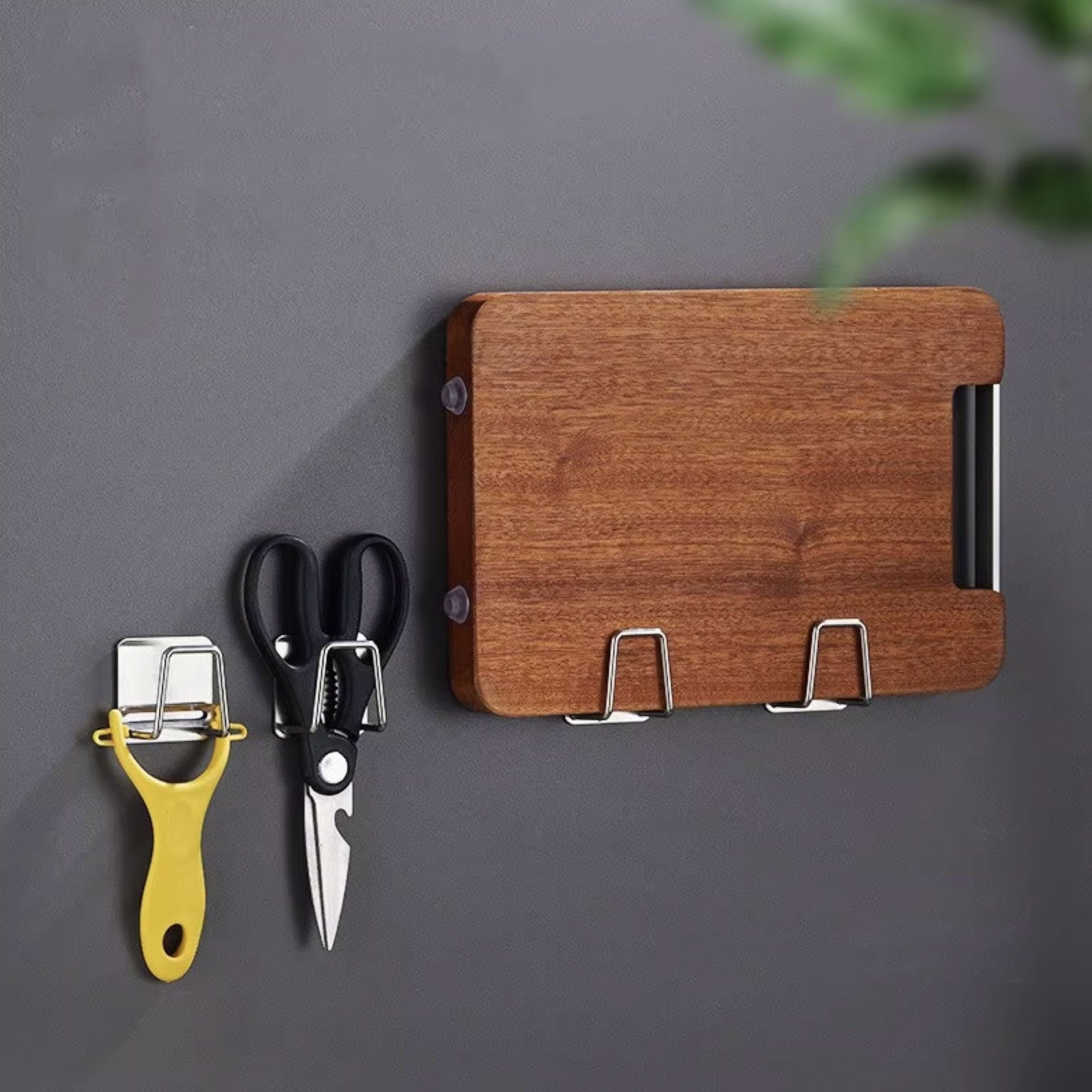 Stainless Steel Wall-Mounted Sponge Holder-4